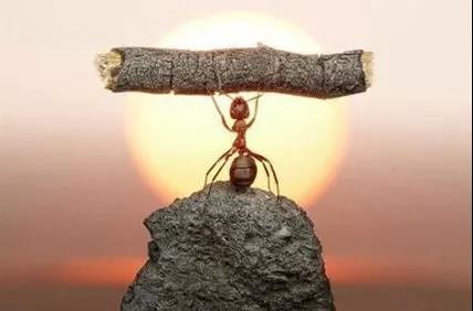 【共業(yè)堂】約客戶,就(jiù)是(shì)要(yào)做(zuò)到(dào)膽大(dà)心細臉皮厚! 【共業(yè)堂】約客戶,就(jiù)是(shì)要(yào)做(zuò)到(dào)膽大(dà)心細臉皮厚!