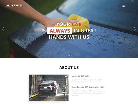 【A0010】汽車(chē)美(měi)容